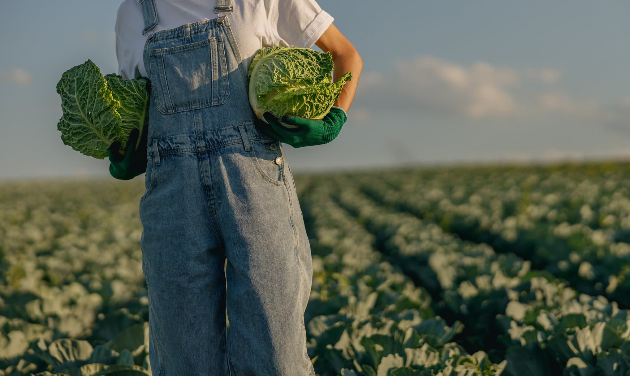 Can Agriculture Be Sustainable? Unearthing the Roots of Change