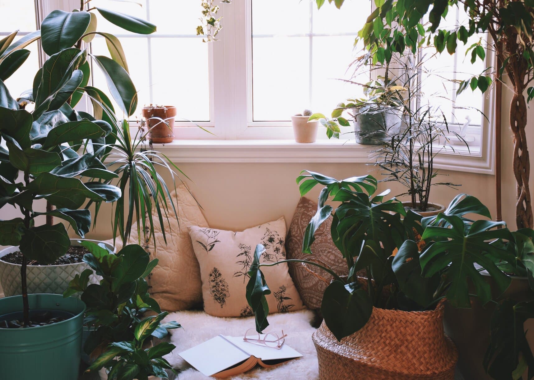 Eco-Friendly Dorm Room Setup: Sustainable Tips for Students