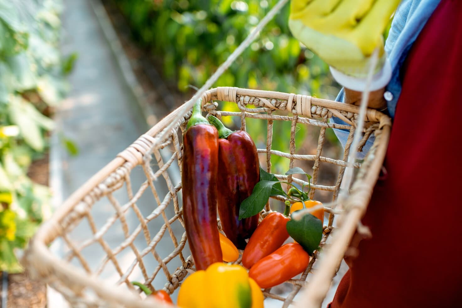 Organic vs. Conventional: What Foods Should You Buy Organic and What’s Safe to Eat Non-Organic?