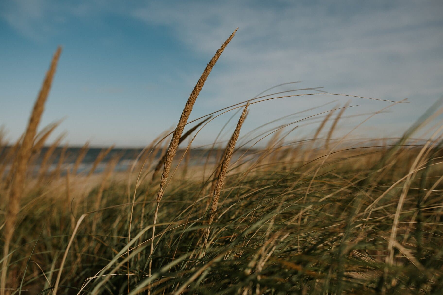 Breathing Easy: Air Pollution and Our Role in Clearing the Air